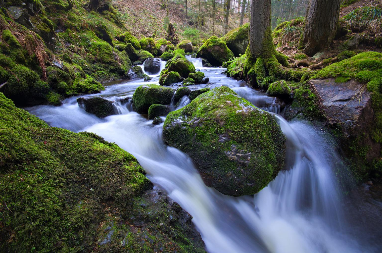 Hofgut Sternen - Ravennaschlucht 4* Breitnau