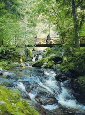 Hofgut Sternen - Ravennaschlucht Hotel Breitnau